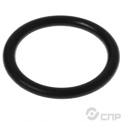 Кольцо круглого сечения 007-010-19 ГОСТ 9833-73 Кольцо круглого сечения 007-010-19 ГОСТ 9833-73